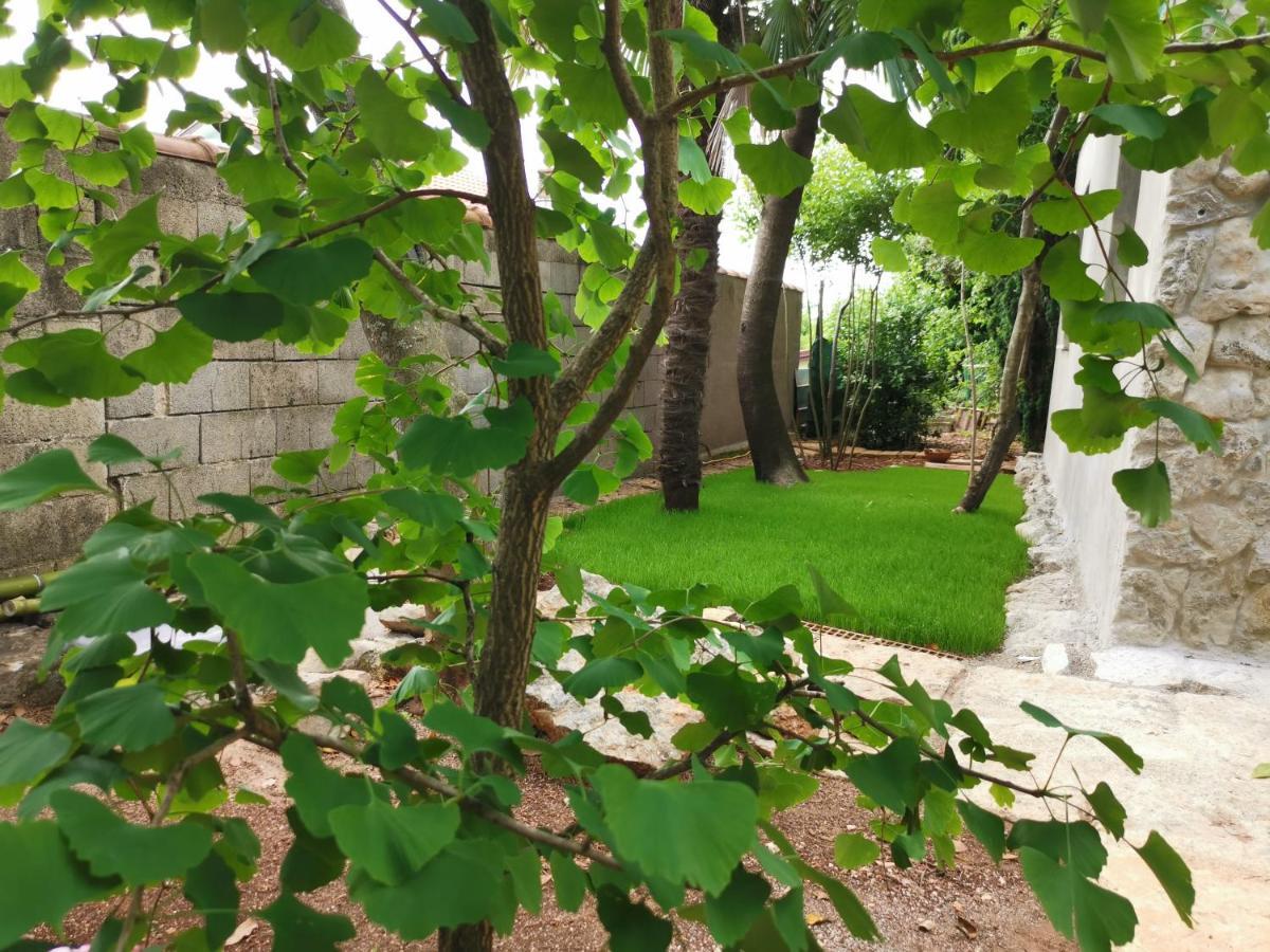 オパティヤGinko Houseアパートメント エクステリア 写真